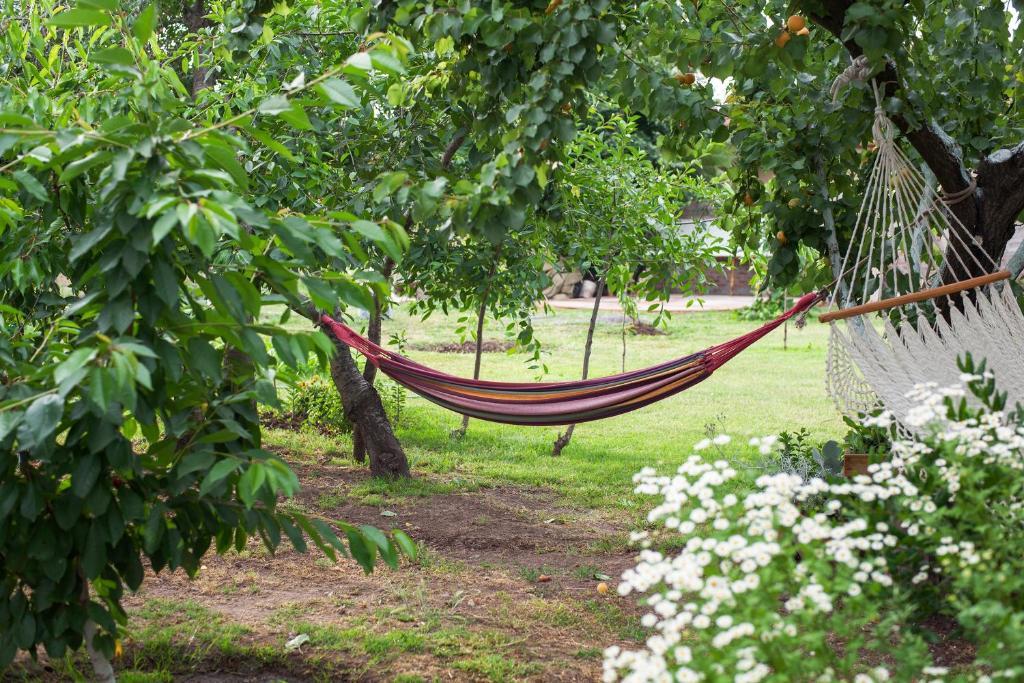 Casa Pando Bed & Breakfast ซานตาครูซ ห้อง รูปภาพ